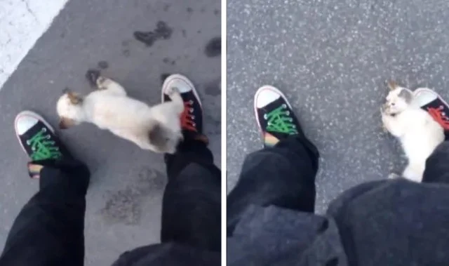 Extra image from article