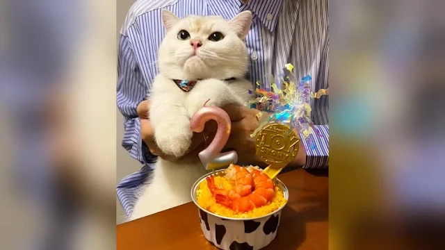 Extra image from article