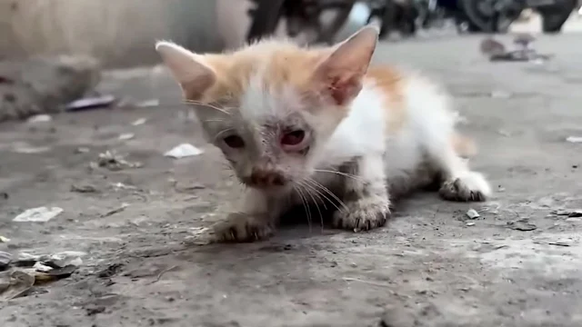 In his vulnerable state, all Pippin coul...