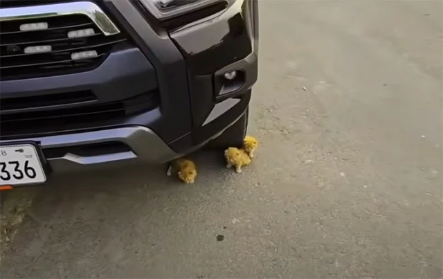 The discovery filled Sarah with sadness ...