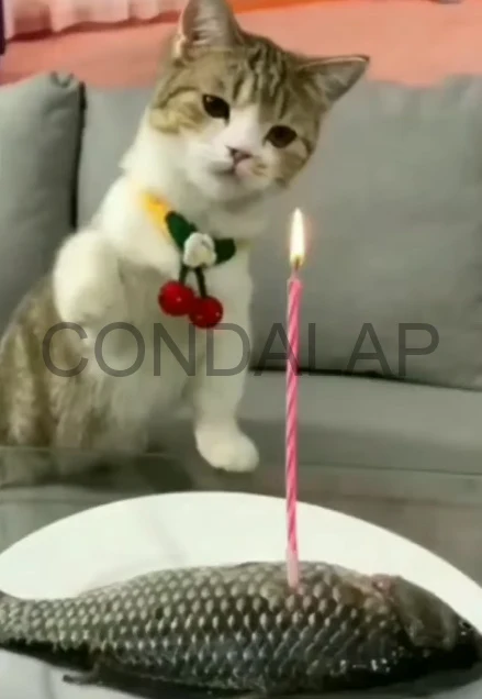 Extra image from article