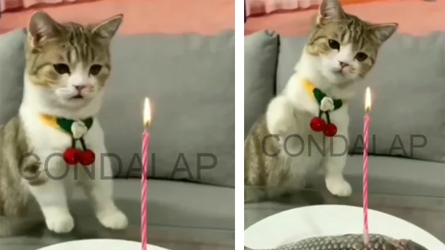 Although I recognize my own flaws, I sti...