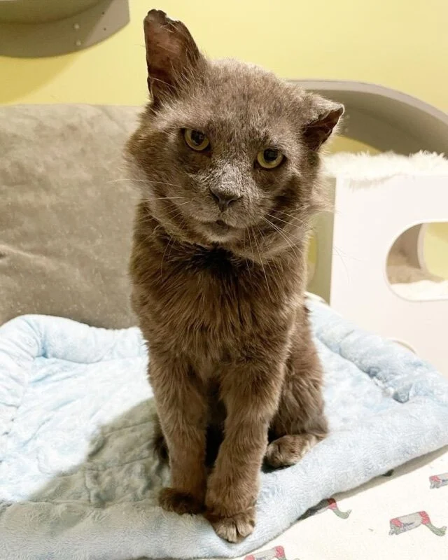 Embracing his new life, Mason has develo...