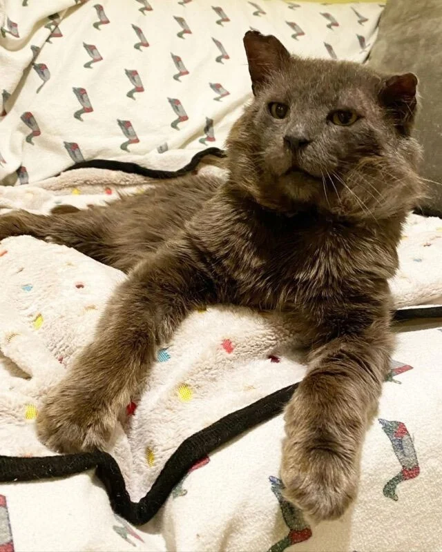 Extra image from article