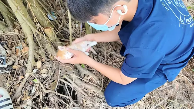 Extra image from article