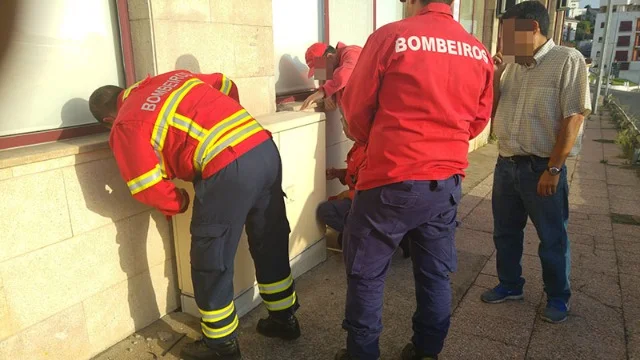 Extra image from article