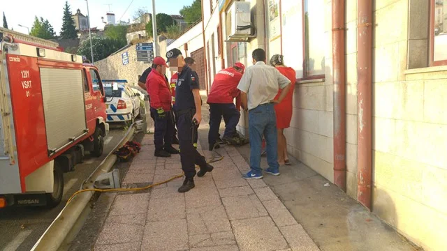 Extra image from article