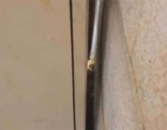 Extra image from article