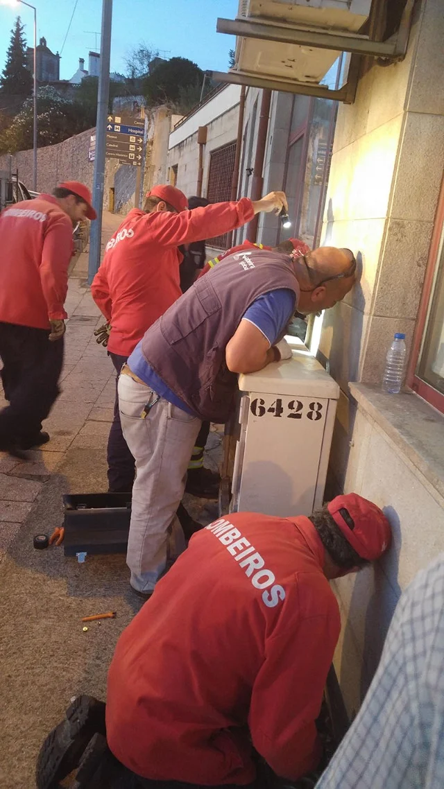 Extra image from article