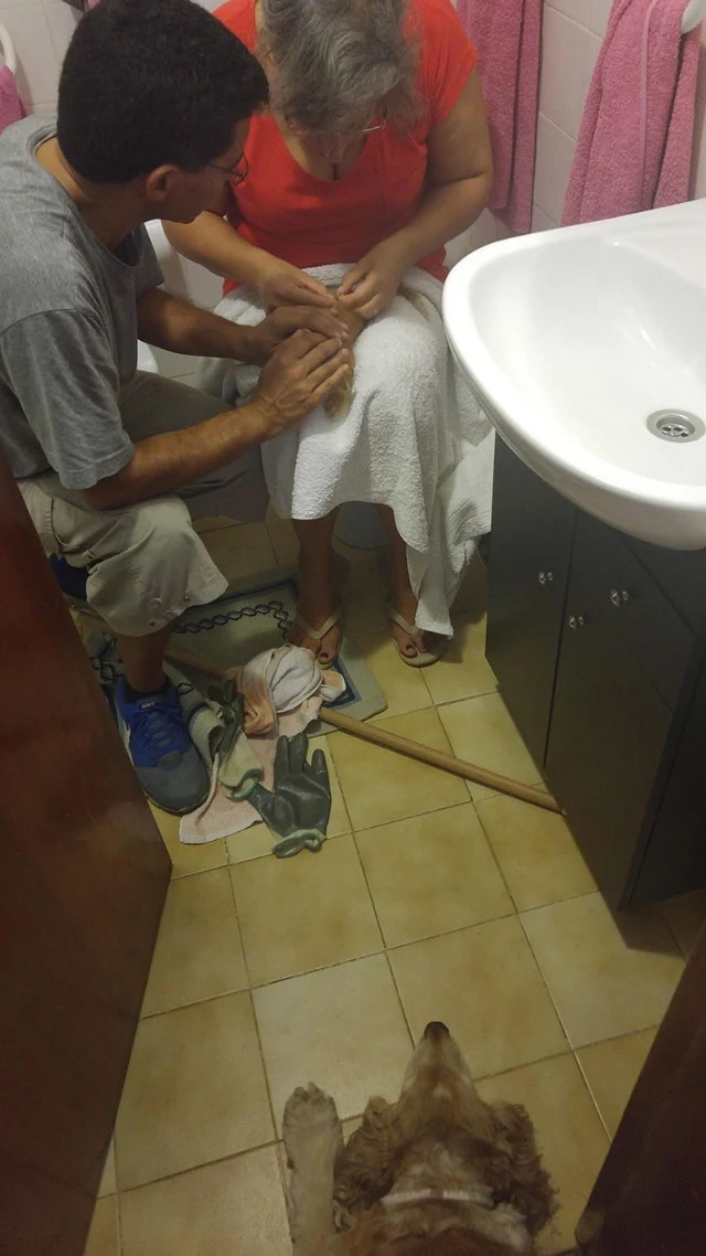 Extra image from article