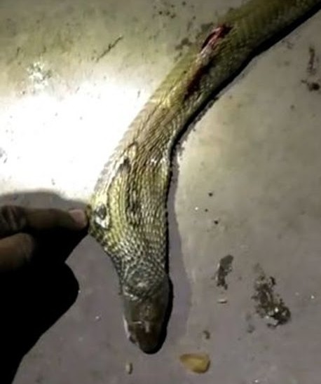 Subhendu Mallik also commented on the si...