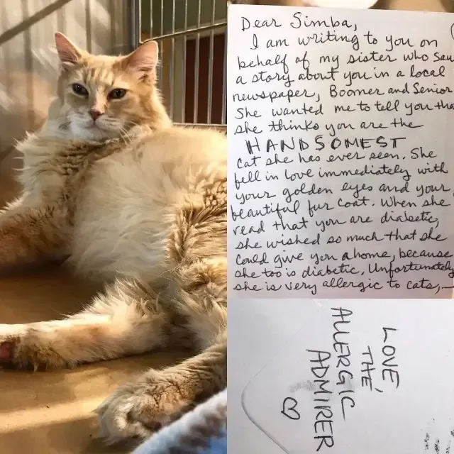 Staff at the shelter shared the letter w...