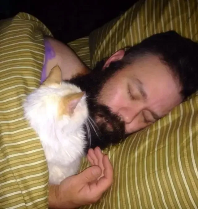 Extra image from article