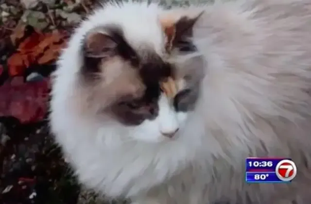 Two months later, a breakthrough came wh...