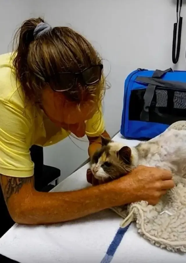 Now back in the comforting arms of her d...