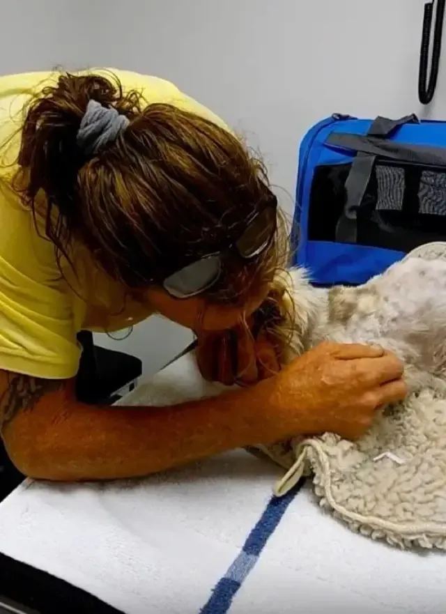 Extra image from article