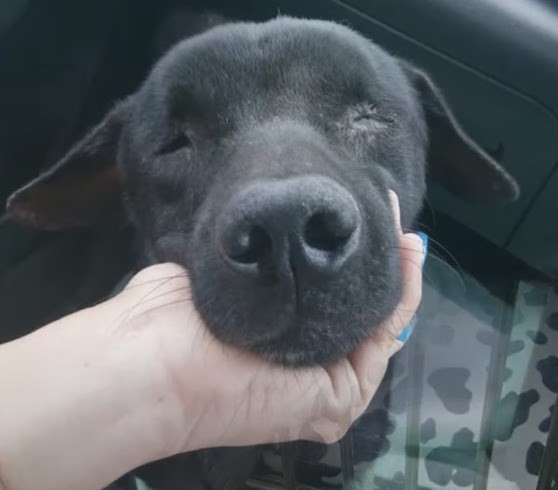 Extra image from article