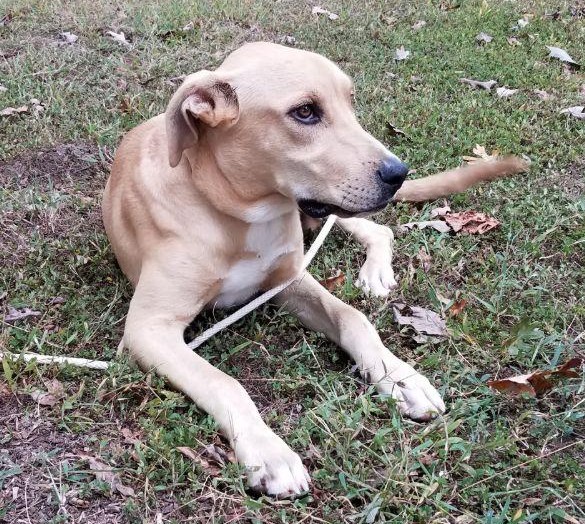 Extra image from article