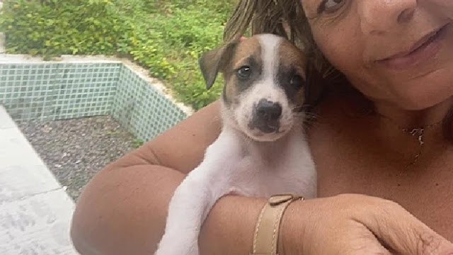 Extra image from article