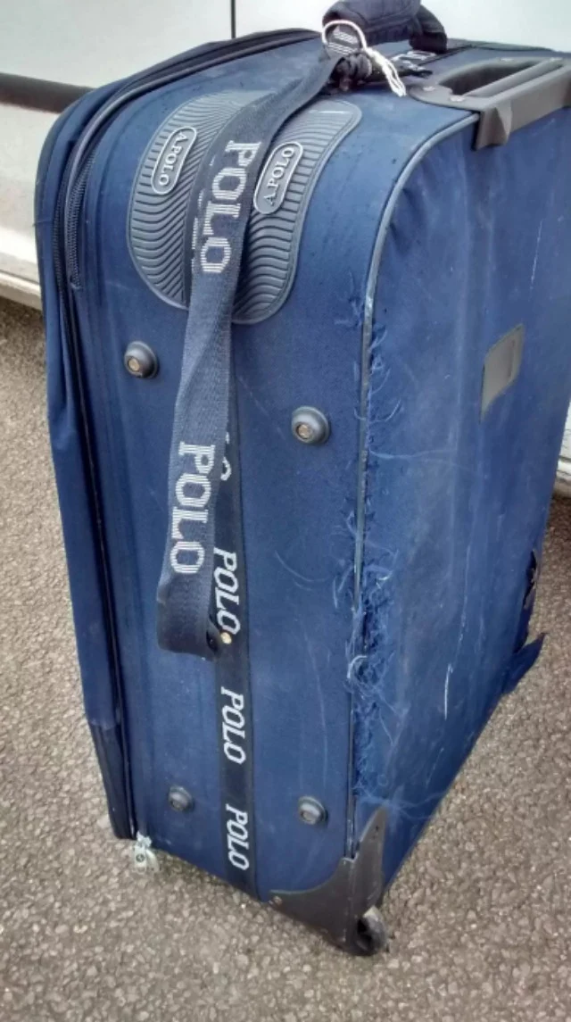 In a delightful nod to Disney's film