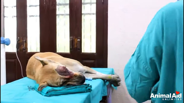 After her surgery, Penny's true personal...