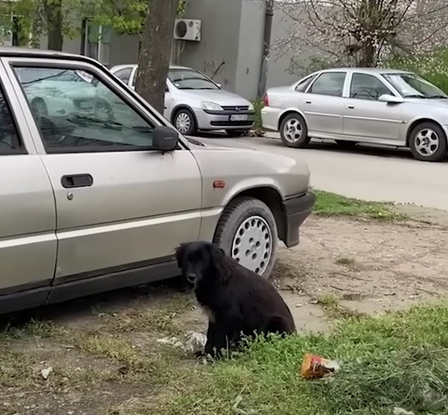 Extra image from article