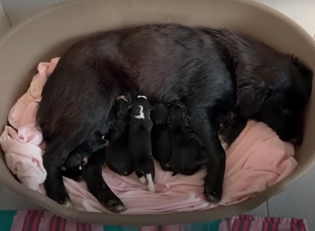 Extra image from article