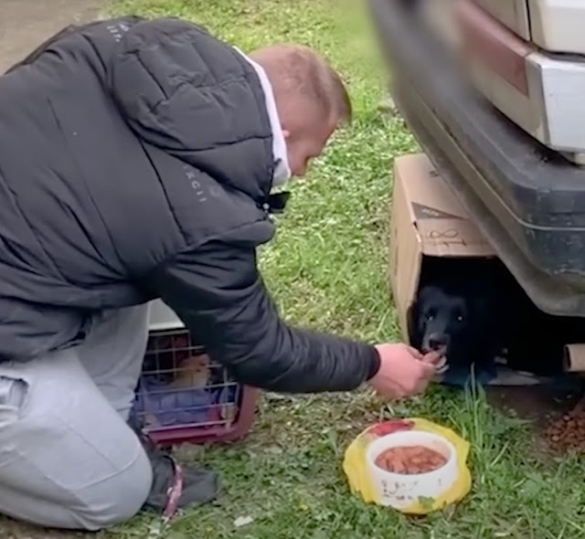 The man’s affection for the animals was ...