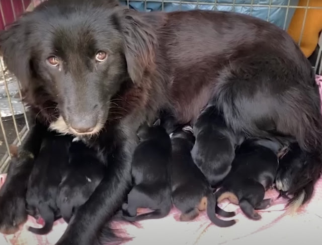 Extra image from article