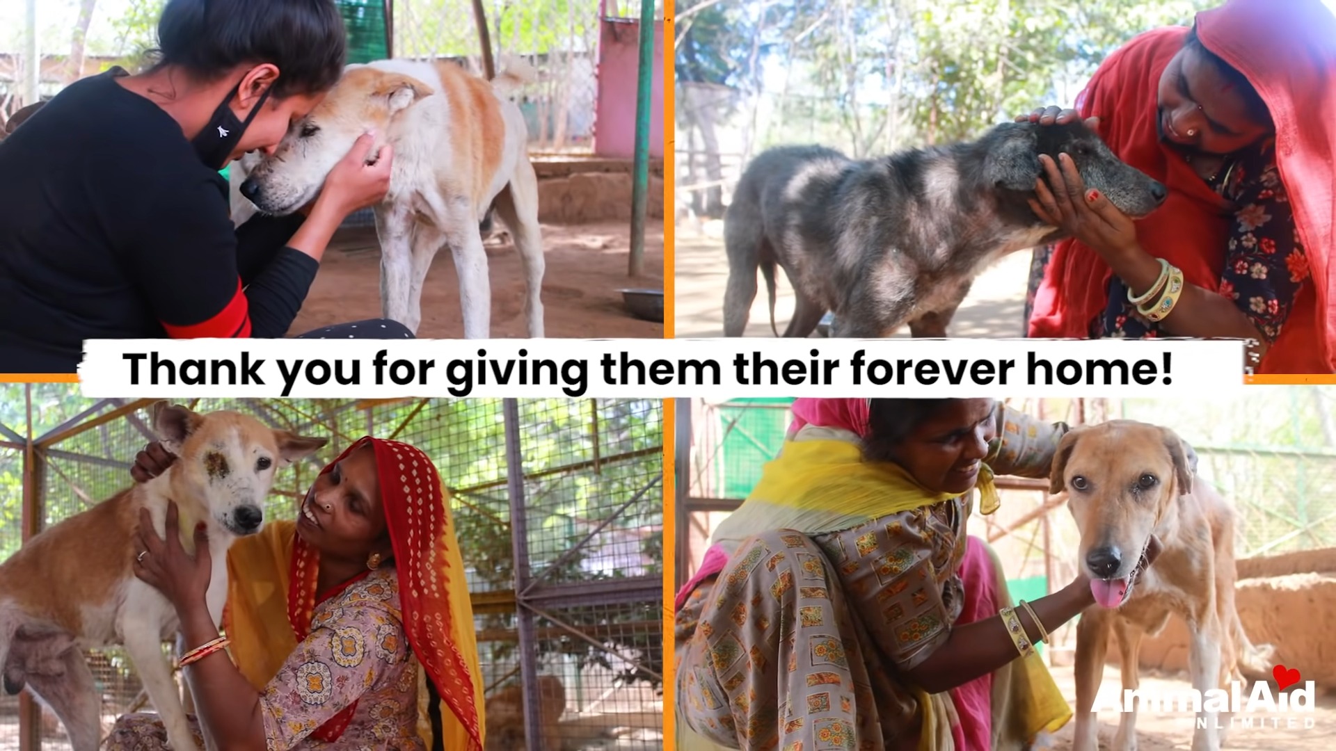 Extra image from article