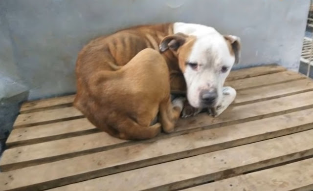 Today marks a new chapter in Jack's life...