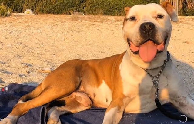 Extra image from article