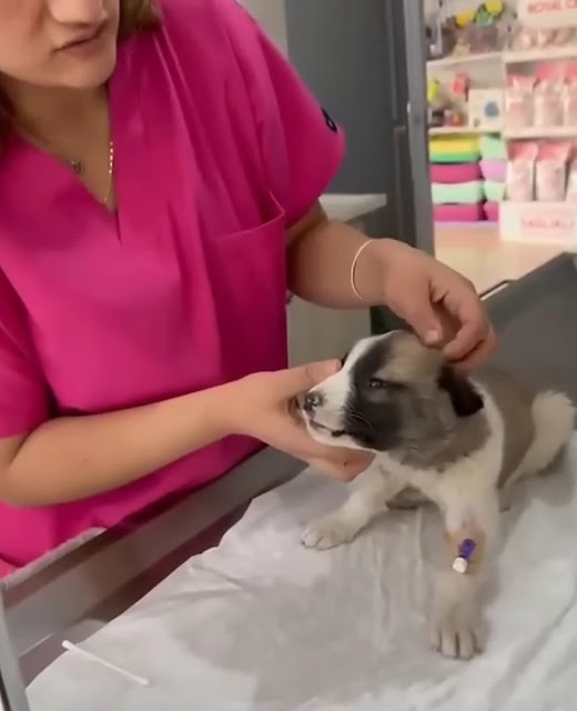 Extra image from article