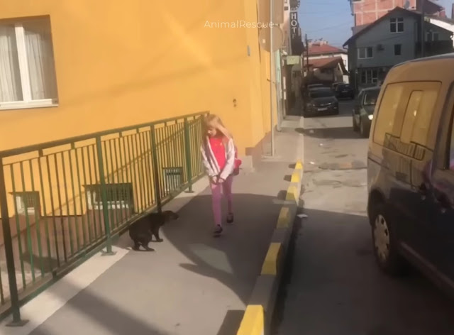 We kindly ask you to share Bobby's story...