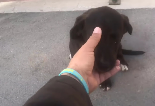 Extra image from article