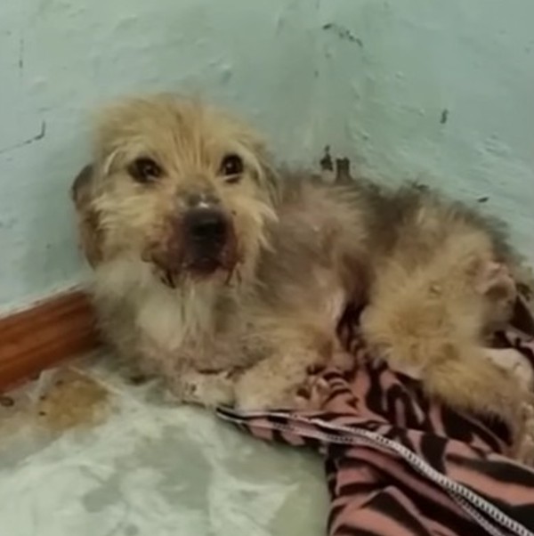 Everything was a new experience for him,...