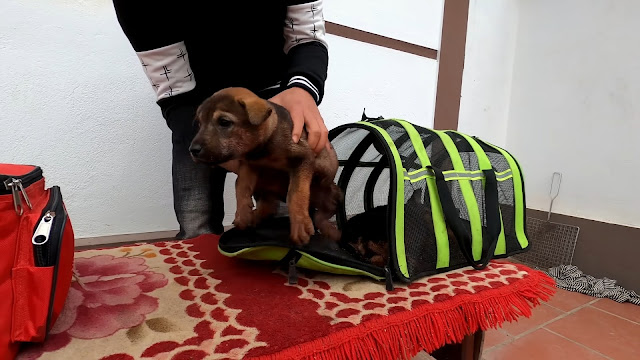 Extra image from article