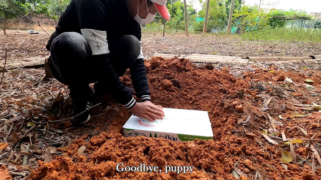 Extra image from article