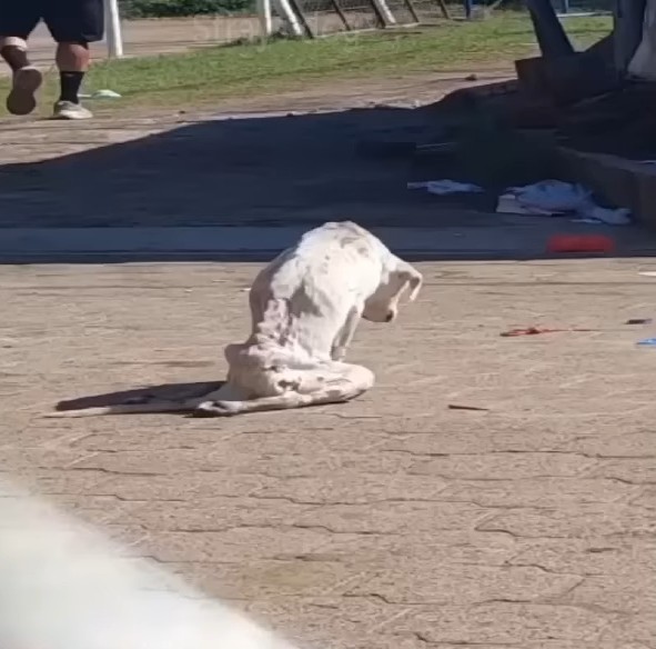 Unfortunately, the news from the doctor ...