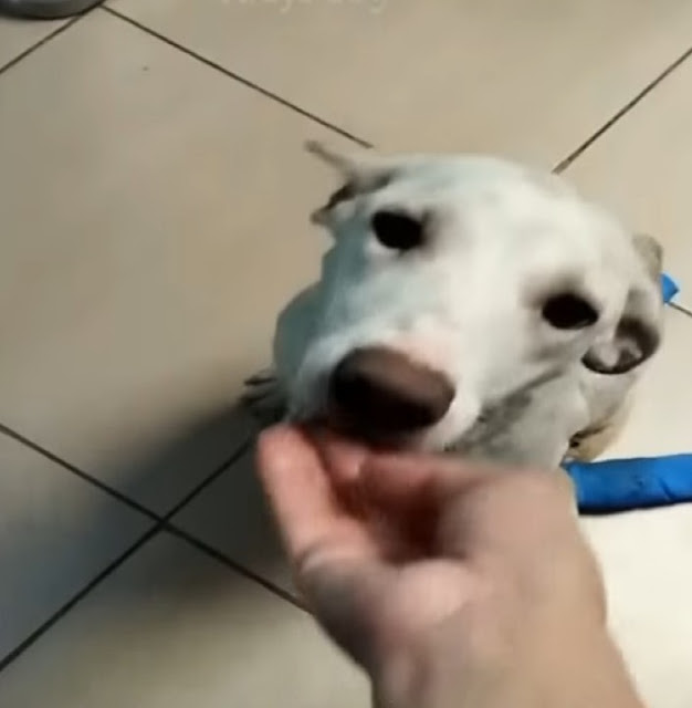 Thanks to the kindness of strangers and ...