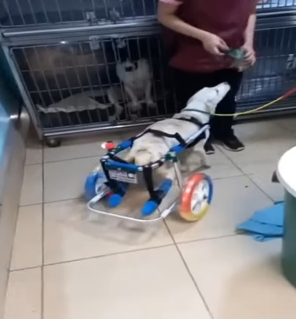 Extra image from article