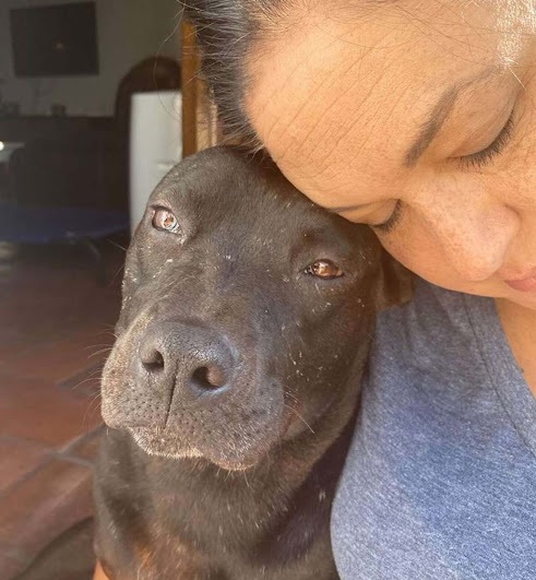 As for Poppy's puppies, they will remain...