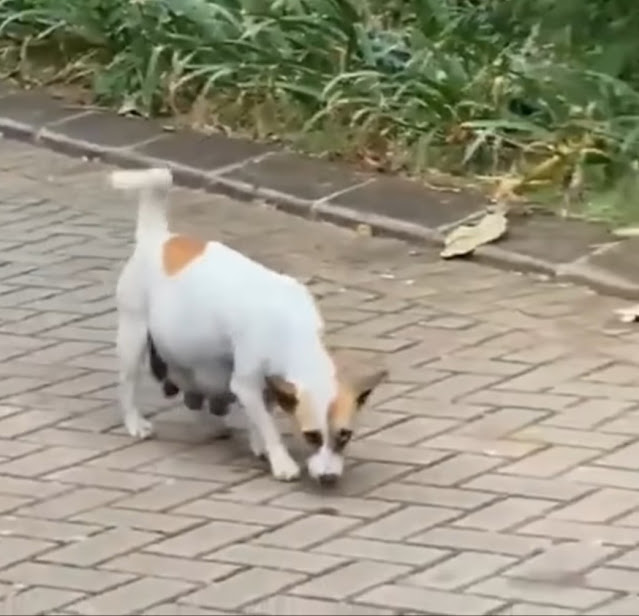 Life had changed drastically for Cherry ...