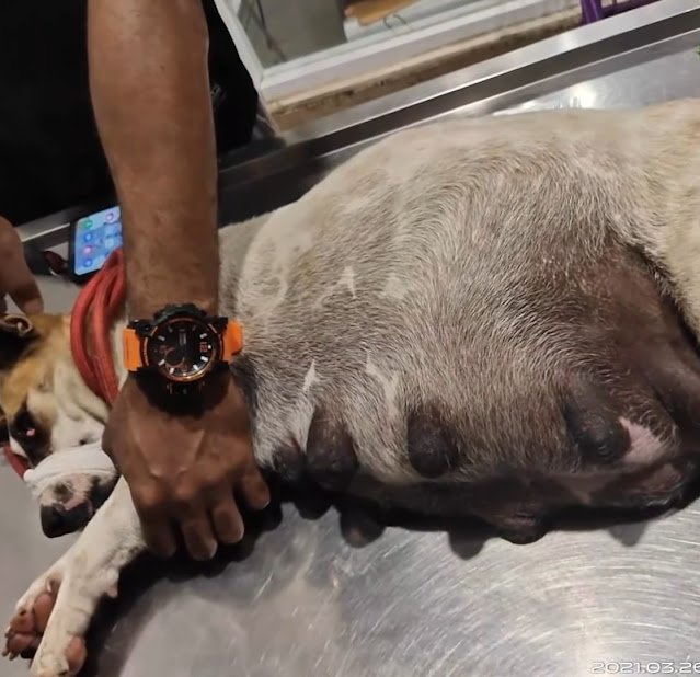 Extra image from article