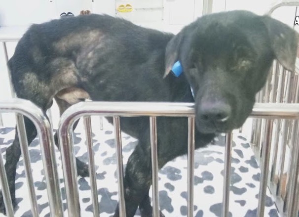 Extra image from article