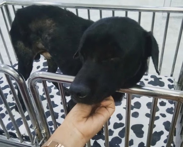 Extra image from article