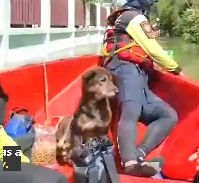 Her story is a testament to resilience, ...