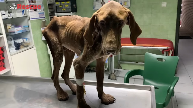 Extra image from article