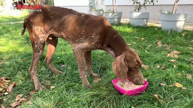 Extra image from article