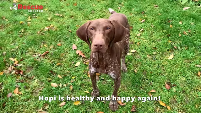 Extra image from article